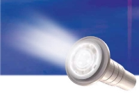 Pentair GLOBRITE® White Pool and Spa LED Light | 12V 150' Cord | 602105