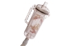 Pentair Rainbow Clear Leaf Trap with Handle with Snap Lid - #186A | R211084 R211084K