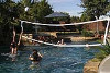 SR Smith Swim N€™ Spike Salt Pool Friendly Volleyball Residential Game | with 16' Net and Anchor | Black | S-VOLY