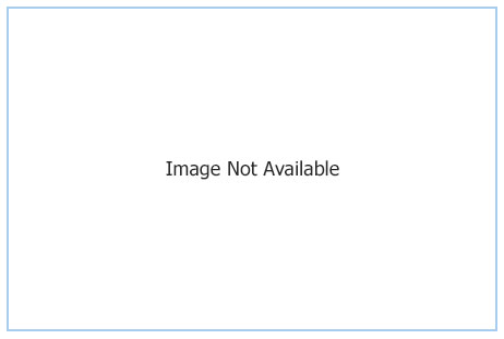 Xcalibur Pro Animal Plaster Brush for Plaster & Gunite Surfaces | 22" | BR4122C